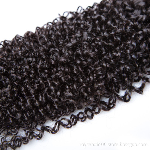 Brazilian Afro Kinky Curly Hair,Brazilian Vrigin Hair Kinky Curly Hair Bundles